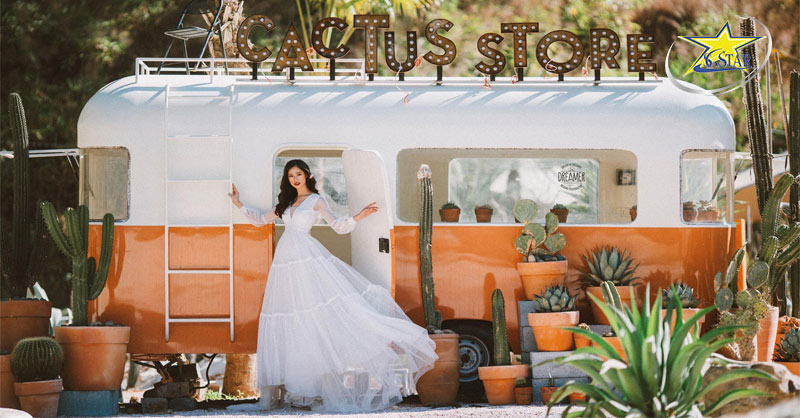 Khám phá Kombi Land Đà Lạt - Nơi sống ảo độc đáo giữa lòng thành phố | Saigon Star Travel Khám phá Kombi Land Đà Lạt