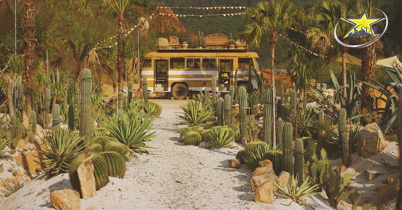 Khám phá Kombi Land Đà Lạt - Nơi sống ảo độc đáo giữa lòng thành phố | Saigon Star Travel Ốc Đảo Xương Rồng Mini ngay giữa lòng Đà Lạt