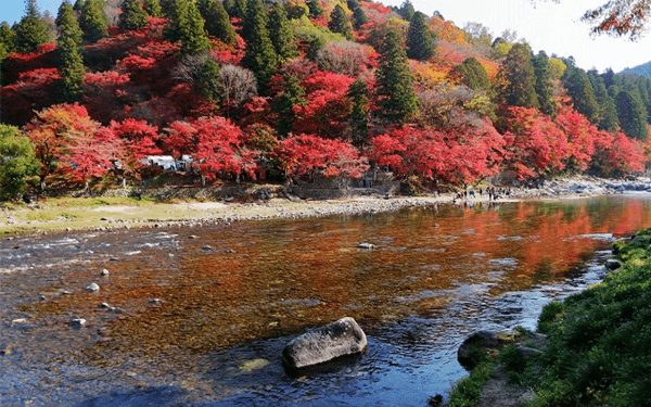 Trải nghiệm thú vị chỉ tour Nhật Bản tháng 11 mới có | Saigon Star Travel trai-nghiem-thu-vi-chi-tour-nhat-ban-thang-11-moi-co-4