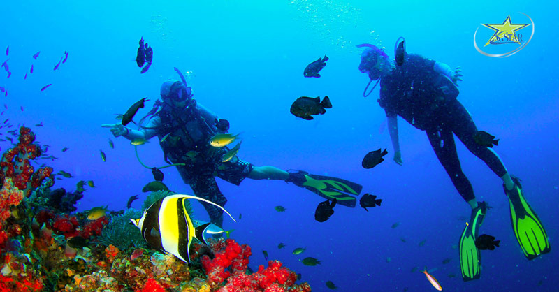 Du lịch Campuchia lễ 30/4 có hoạt động gì? | Saigon Star Travel Lặn ngắm san hô ở đảo Koh Rong