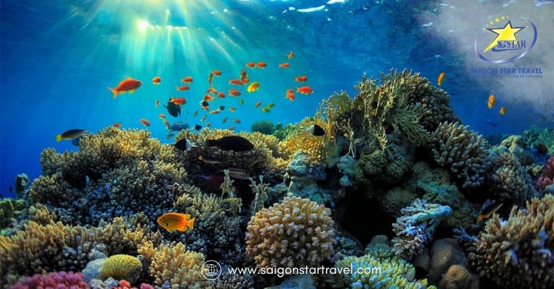 Khám Phá Hòn Gầm Ghì Phú Quốc - Thiên Đường Biển Đảo Hoang Sơ | Saigon Star Travel lan-ngam-san-ho-phu-quoc (1)