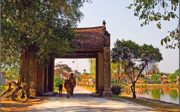 lang co duong lam mot ngay tai ngoi lang co nhat viet nam 4