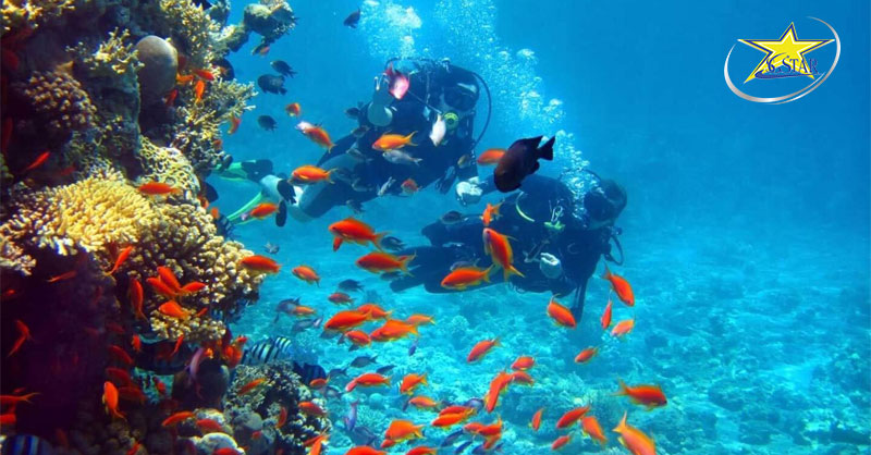 Tour Du Lịch Campuchia 4 Ngày 3 Đêm | Vivu Trong Dịp Hè 2024 | Saigon Star Travel lang ngam san ho dao kohrong saloem