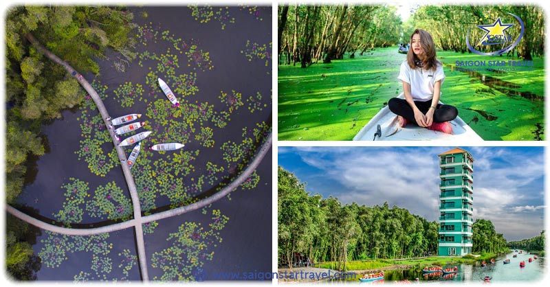 Du Lịch Miền Tây 1 Ngày Nên Đi Đâu Để Có Trải Nghiệm Trọn Vẹn? | Saigon Star Travel Du lịch miền Tây 1 ngày nên đi đâu