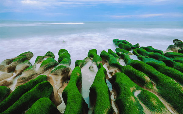 Du lịch Đài Loan điểm đến không hẹn | Saigon Star Travel du-lich-dai-loan-diem-den-khong-hen-6