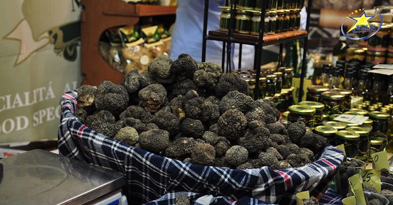 Lễ hội mùa thu nấm Truffle Ý