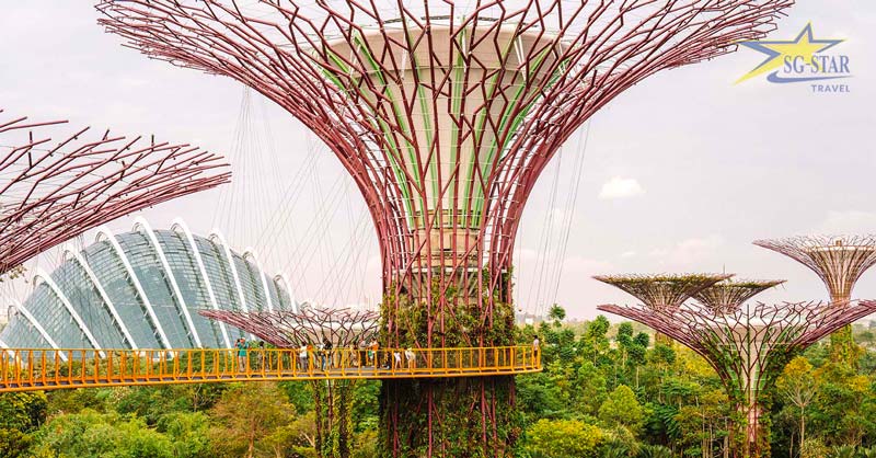 Liên Tuyến Tour Singapore - Malaysia 5 Ngày 4 Đêm Khởi Hành Từ Sài Gòn | Saigon Star Travel “Garden By The Bay”- khu vườn nhân tạo độc đáo Singapore
