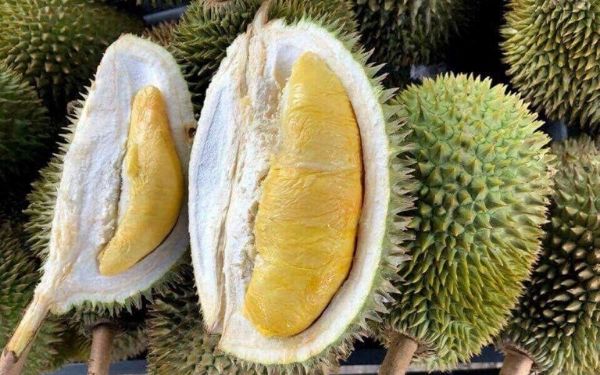 liet ke cac dac san tien giang dang mua ve lam qua 6