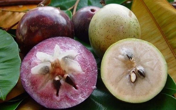 liet ke cac dac san tien giang dang mua ve lam qua 7