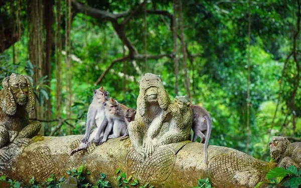 Lưu ý cần thiết nhất khi đi du lịch bụi Bali | Saigon Star Travel luu-y-can-thiet-nhat-khi-di-du-lich-bui-bali-4