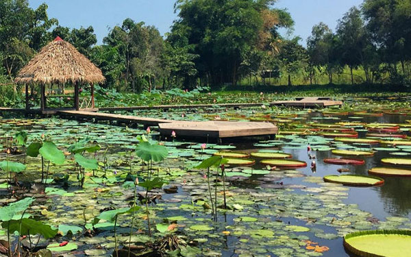 Mách bạn khu du lịch Xẻo Quýt Đồng Tháp - điểm đến không thể bỏ qua | Saigon Star Travel mach-ban-khu-du-lich-xeo-quyt-diem-den-khong-the-bo-qua-4