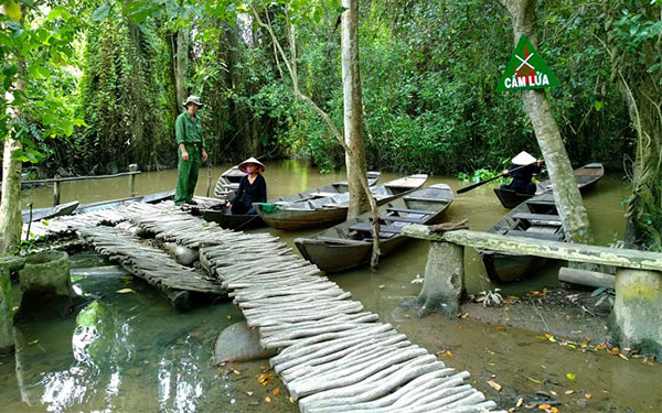 Mách bạn khu du lịch Xẻo Quýt Đồng Tháp - điểm đến không thể bỏ qua | Saigon Star Travel mach-ban-khu-du-lich-xeo-quyt-diem-den-khong-the-bo-qua-5