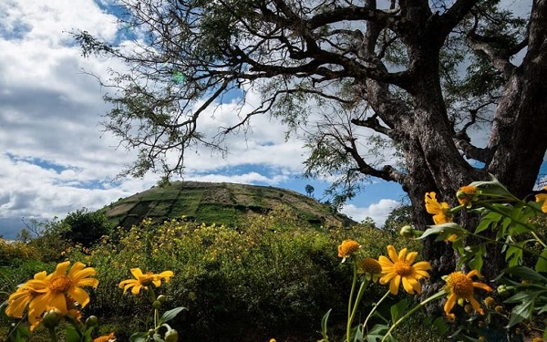 Mách bạn kinh nghiệm lựa chọn thời điểm đi Buôn Mê Thuột đẹp nhất | Saigon Star Travel mach-ban-kinh-nghiem-lua-chon-thoi-diem-di-buon-me-thuot-dep-nhat-1