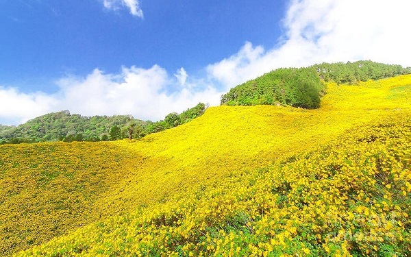Mách bạn kinh nghiệm lựa chọn thời điểm đi Buôn Mê Thuột đẹp nhất | Saigon Star Travel mach-ban-kinh-nghiem-lua-chon-thoi-diem-di-buon-me-thuot-dep-nhat-4