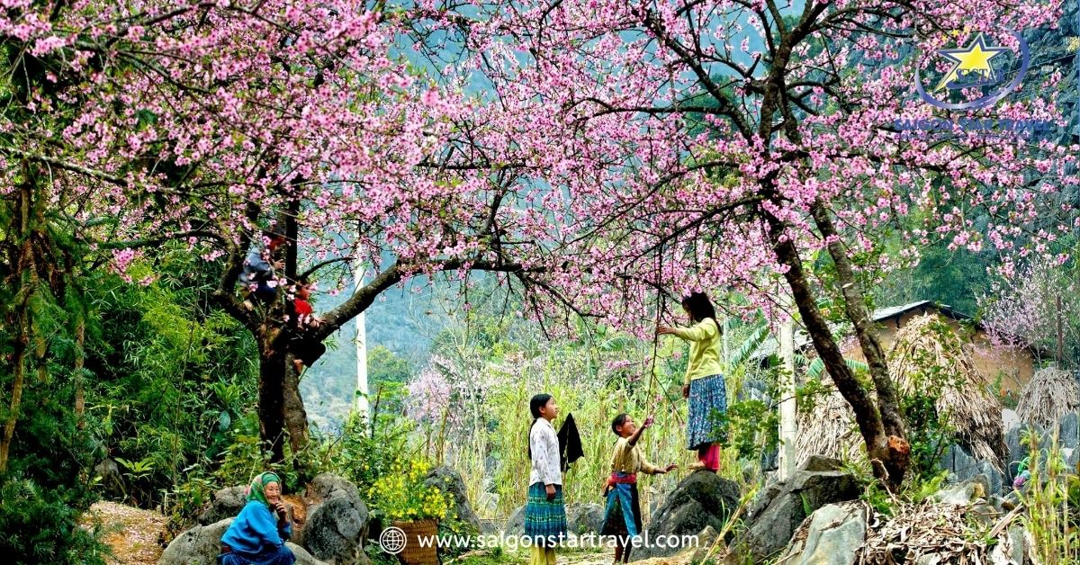 Mùa hoa đào tại Mộc Châu