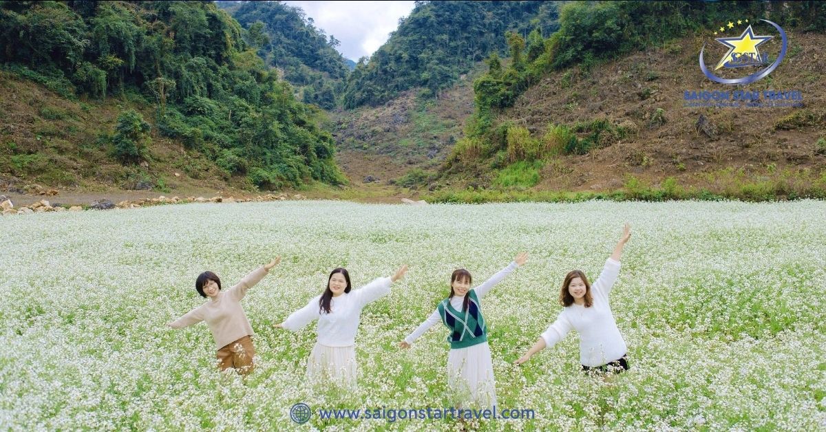 Mùa hoa cải trắng Mộc Châu