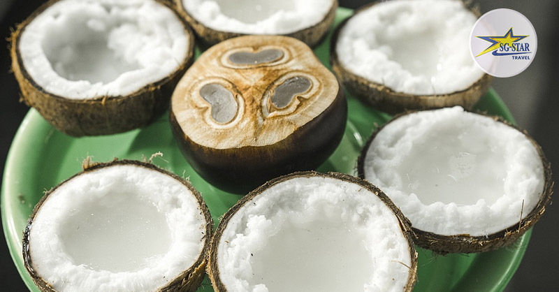 Chợ Đêm Dinh Cậu Phú Quốc - Thiên Đường Dành Cho Các Tín Đồ Ẩm Thực | Saigon Star Travel Món giải khát dừa dầm thốt nốt mát lạnh