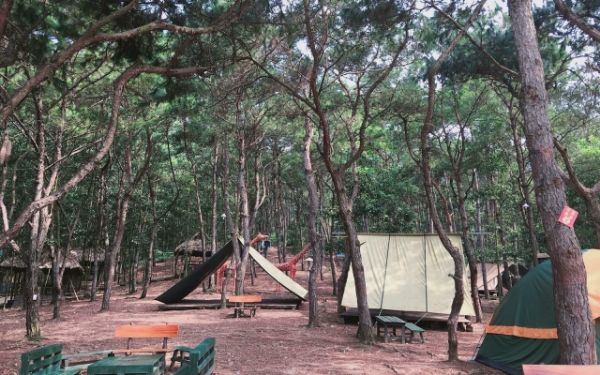 Địa điểm du lịch Tết Nguyên Đán 2025 phù hợp với trẻ nhỏ | Saigon Star Travel mot ngay trai nghiem tuyet voi tai khu du lich ban rom 1