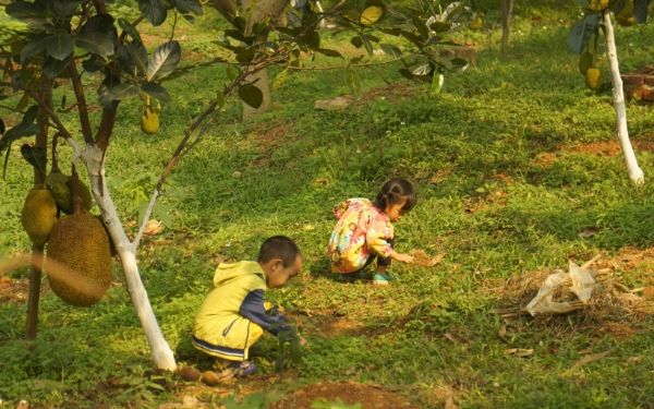 Một ngày trải nghiệm tuyệt vời tại khu du lịch Bản Rõm | Saigon Star Travel mot ngay trai nghiem tuyet voi tai khu du lich ban rom 5