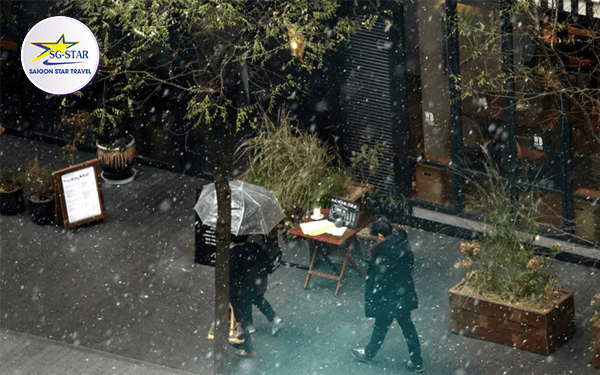 Tour Hàn Quốc tháng 8- Tham gia lễ hội biển Busan | Saigon Star Travel tour-han-quoc-thang-8-tham-gia-le-hoi-bien-busan-5