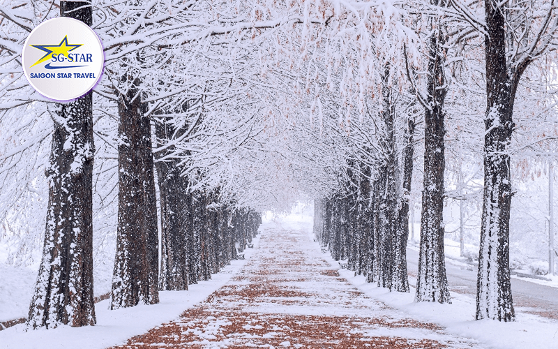 Tour du lịch Hàn Quốc tháng 2 có điểm gì đặc sắc? | Saigon Star Travel tour-du-lich-han-quoc-thang-2-co-diem-gi-dac-sac-2
