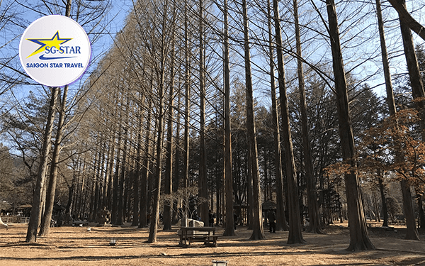 Gợi ý lịch trình tour Hàn Quốc 2/9 | Saigon Star Travel goi-y-lich-trinh-tour-han-quoc-2-9-7
