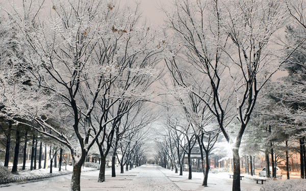 Tour hàn quốc noel 2024 - Mùa giáng sinh lãng mạn, đáng nhớ | Saigon Star Travel tour-han-quoc-noel-2019-mua-giang-sinh-lang-man-dang-nho-5