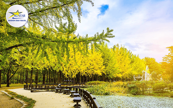Tour Hàn Quốc tháng 10- Chiêm ngưỡng sắc thu đẹp hoàn hảo | Saigon Star Travel tour-han-quoc-thang-10-chiem-nguong-sac-thu-dep-hoan-hao