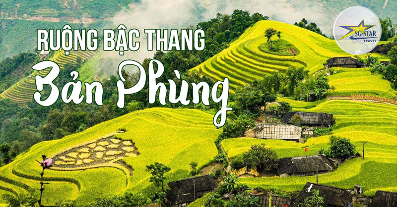 Nàng Phùng trong mắt của những “kẻ say tình” mùa lúa chín Nàng Phùng trong mắt của những “kẻ say tình” mùa lúa chín