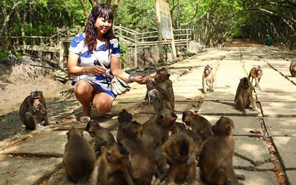 Nên đi tour Cần Giờ trong 1 hay 2 ngày? | Saigon Star Travel nen di tour can gio trong 1 hay 2 ngay 5