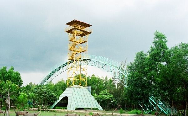 Nên đi tour Cần Giờ trong 1 hay 2 ngày? | Saigon Star Travel nen di tour can gio trong 1 hay 2 ngay 8