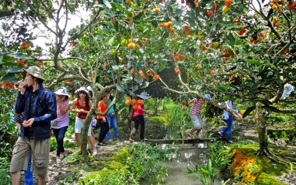 ngo ngang truoc cac khu du lich cu chi ho chi minh 3