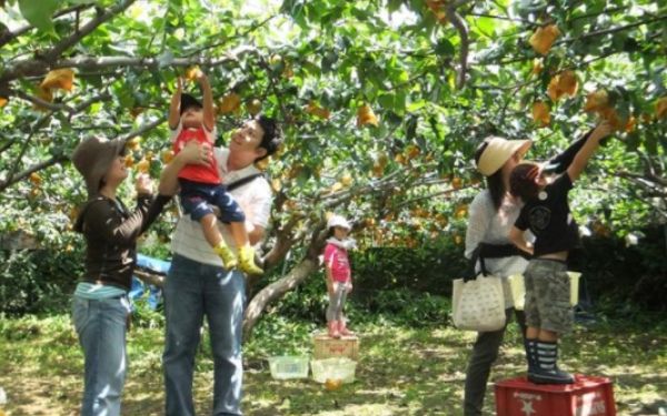 ngo ngang truoc cac khu du lich cu chi ho chi minh 4
