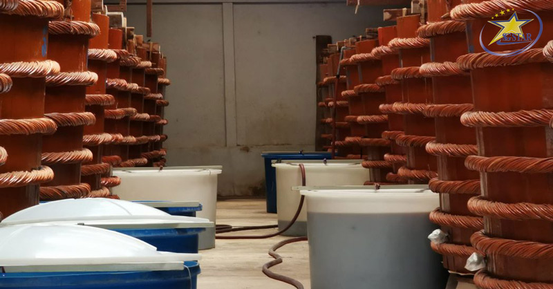 Top 4 Nhà Thùng Nước Mắm Phú Quốc Nổi Tiếng Mua Về Làm Quà | Saigon Star Travel Các thùng gỗ lớn chứa hàng tấn cá cơm