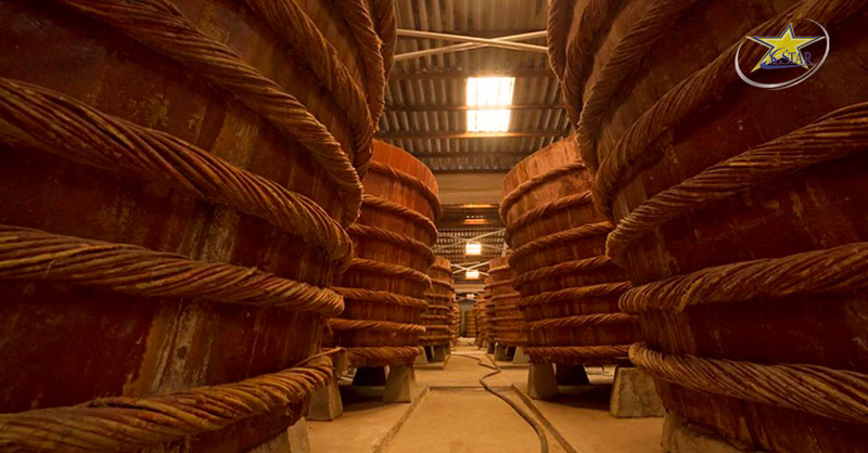 Cẩm Nang Du Lịch Phú Quốc Tự Túc - Kinh Nghiệm Chi Tiết | Saigon Star Travel Tìm hiểu quy trình làm nước mắm ở các nhà thùng săn xuất nước mắm Phú Quốc