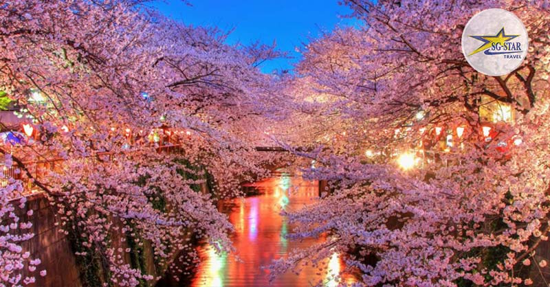 Tháng 4 Nên Đi Du Lịch Ở Đâu? Điểm Đến Hấp Dẫn Trong & Ngoài Nước
Lỗi giao diện: file 'snippets/shortcode-current_date.bwt' không được tìm thấy
| Saigon Star Travel nhat-ban-chon-than-tien-mua-anh-dao-no