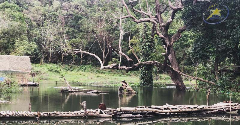 30+ địa điểm du lịch Đà Nẵng không thể bỏ qua | Saigon Star Travel Khung cảnh bình yên ở Nhất Lâm Thuỷ Trang Trà