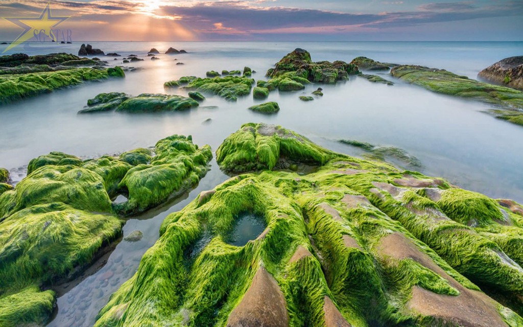 Các địa điểm check in, sống ảo cực đẹp tại Đà Nẵng | Saigon Star Travel Một bức ảnh siêu đẹp tại rạn Nam Ô