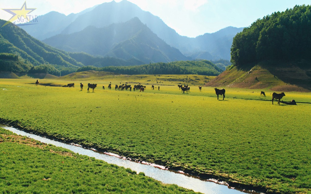 Các địa điểm check in, sống ảo cực đẹp tại Đà Nẵng | Saigon Star Travel Hồ Hòa Trung Đà Nẵng