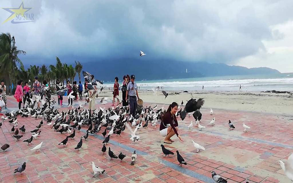 Các địa điểm check in, sống ảo cực đẹp tại Đà Nẵng | Saigon Star Travel Công Viên Biển Đông Đà Nẵng