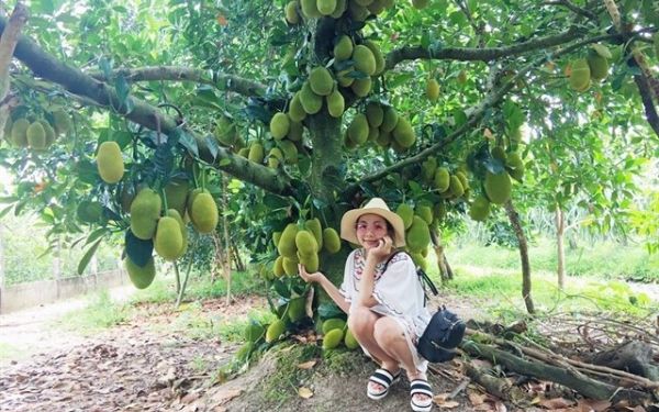 Những điều cần biết về Khu du lịch sinh thái Lái Thiêu | Saigon Star Travel nhung dieu can biet ve khu du lich sinh thai lai thieu 3