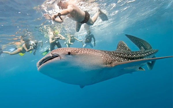 Những kinh nghiệm khi đi du lịch Philippines | Saigon Star Travel nhung-kinh-nghiem-khi-di-du-lich-philippines-5