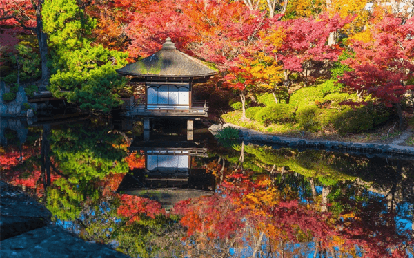 Lâu đài Osaka địa điểm du lịch Nhật Bản hot nhất 2024 | Saigon Star Travel lau-dai-osaka-dia-diem-du-lich-nhat-ban-hot-nhat-2019-3