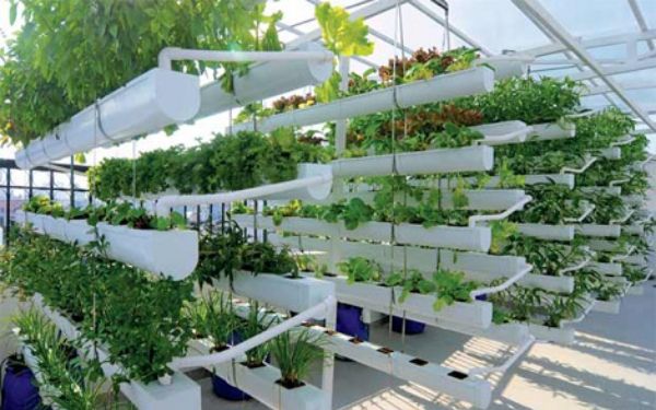 Nông Trang Xanh Củ Chi | Saigon Star Travel nong trang xanh cu chi 8