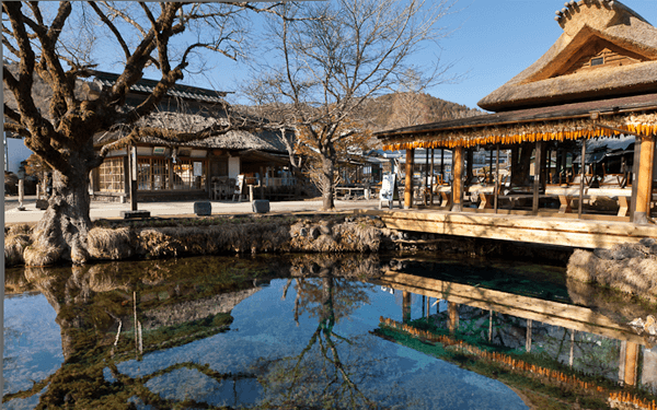 Đi tour Nhật Bản 30/4 ngắm hoa Tử Đằng hàng trăm năm tuổi | Saigon Star Travel di-tour-nhat-ban-30-4-ngam-hoa-tu-dang-hang-tram-nam-tuoi-5