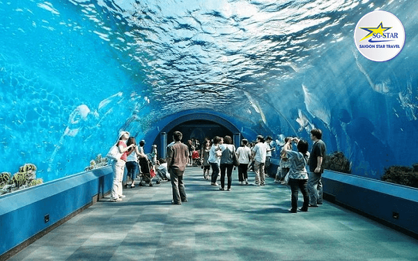 Pattaya Thái Lan Có Gì Chơi Hay Không? | Saigon Star Travel pattaya-co-gi-choi-hay-khong-4