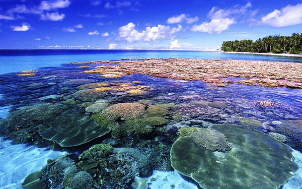 Pattaya Thái Lan Có Gì Chơi Hay Không? | Saigon Star Travel pattaya-co-gi-choi-hay-khong-786