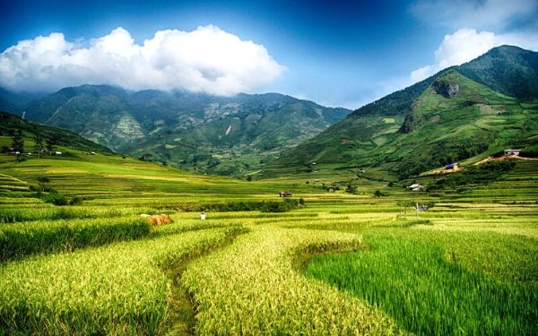 Phá đảo tour Mù Cang Chải 2 ngày 1 đêm đầy thú vị | Saigon Star Travel pha-dao-tour-mu-cang-chai-2-ngay-1-dem-day-thu-vi-1