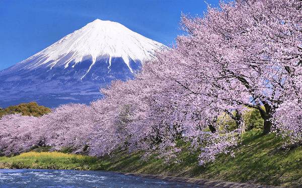 Tour Nhật Bản tháng 3- thời điểm tuyệt vời ngắm hoa Anh Đào | Saigon Star Travel tour-nhat-ban-thang-3-5