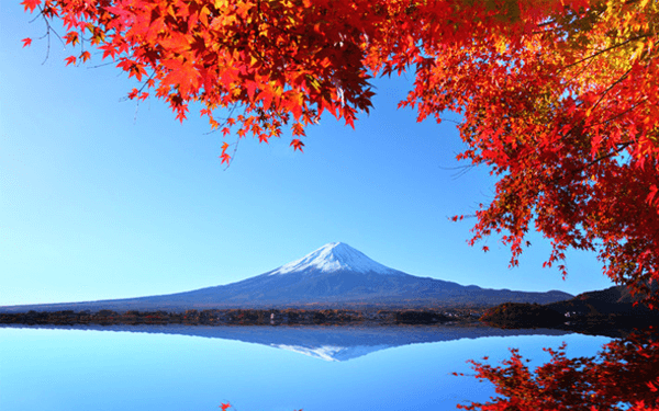 Trải nghiệm thú vị chỉ tour Nhật Bản tháng 11 mới có | Saigon Star Travel trai-nghiem-thu-vi-chi-tour-nhat-ban-thang-11-moi-co-7